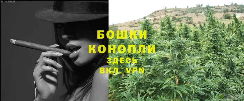 Бошки Шишки Ganja  Бор 